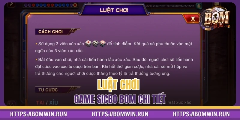 Luật chơi chi tiết, chính xác cho tấm chiếu mới