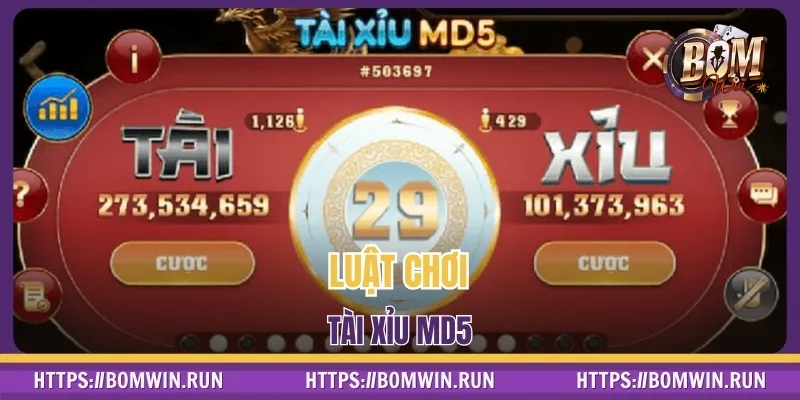 Luật chơi Tài Xỉu MD5 đơn giản, dễ hiểu với tân thủ