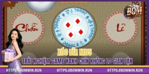 Xóc Đĩa MD5 - Trải Nghiệm Game Xanh Chín Không Lo Gian Lận