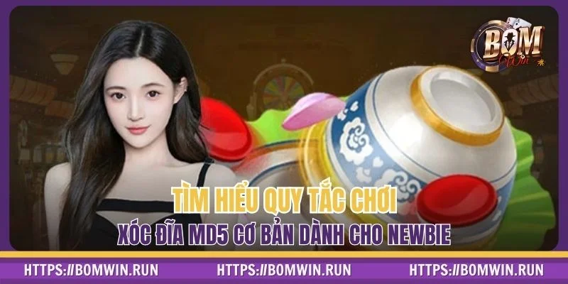 Tìm hiểu quy tắc chơi xóc đĩa MD5 cơ bản dành cho newbie