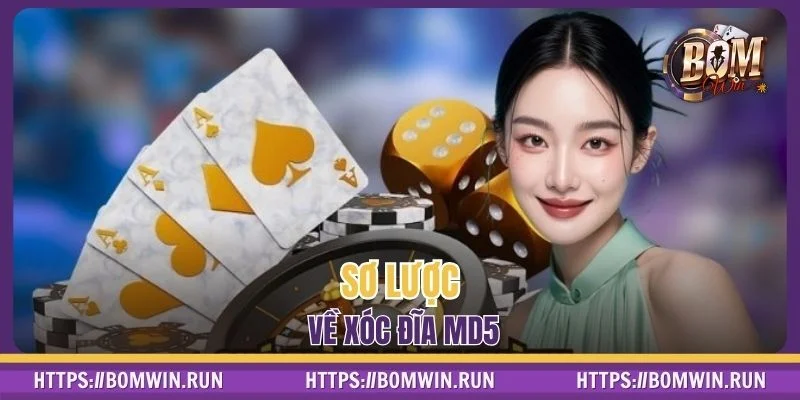 Sơ lược về xóc đĩa MD5